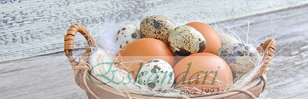 اهمیت مصرف تخم مرغ