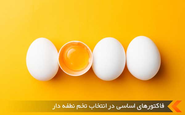 فاکتورهای اساسی در انتخاب تخم نطفه دار
