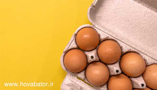 میزان تولید تخم مرغ