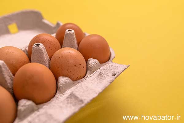 کیفیت مناسب پوسته تخم مرغ